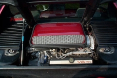 Fiero 4.9 V8 Shaker